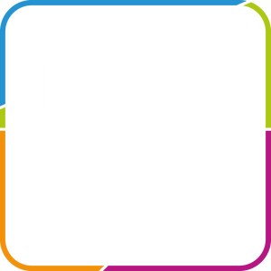 FLASH 100