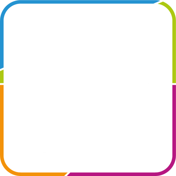FLASH 100