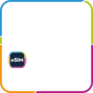 eSIM FLASH100