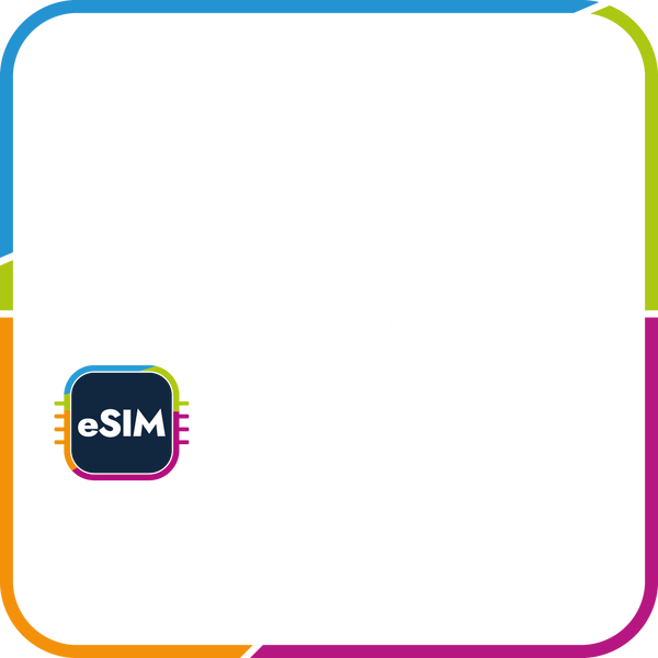 eSIM FLASH100
